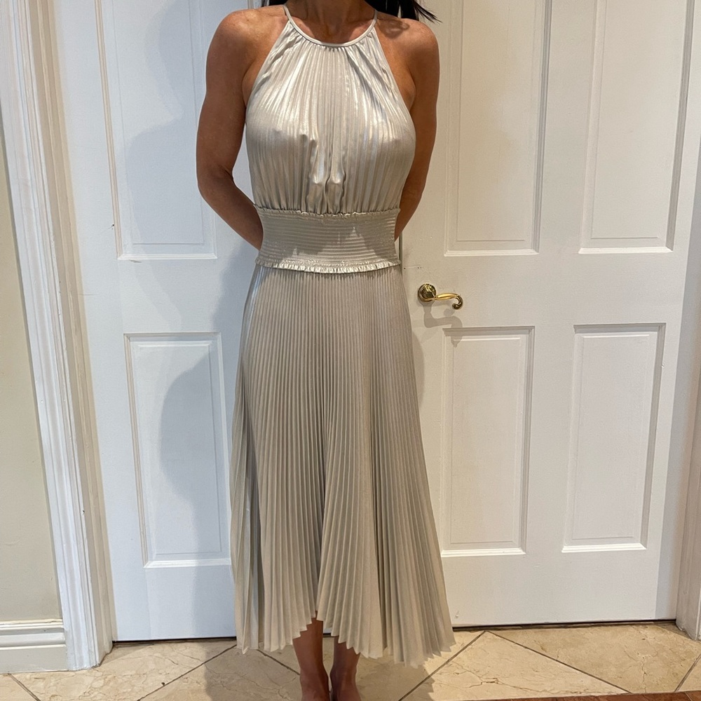 COPY - ALC silver pleated dress